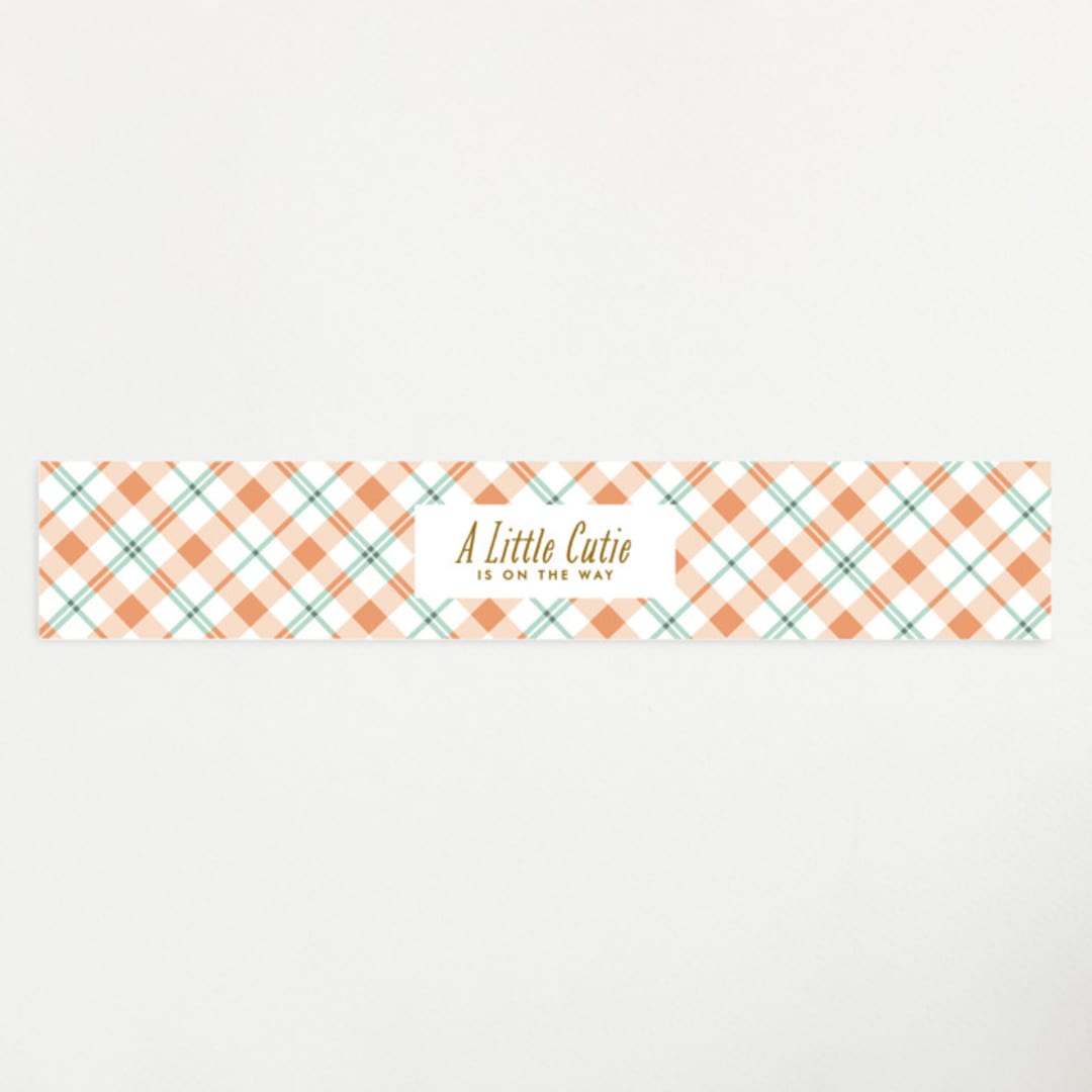 "little cutie oranges" - Baby Shower Belly Bands in Peach by Karidy Walker - Front