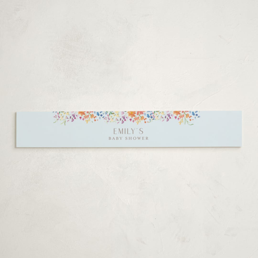 "Baby Basket" - Baby Shower Belly Bands in Summer by Itsy Belle Studio - Front