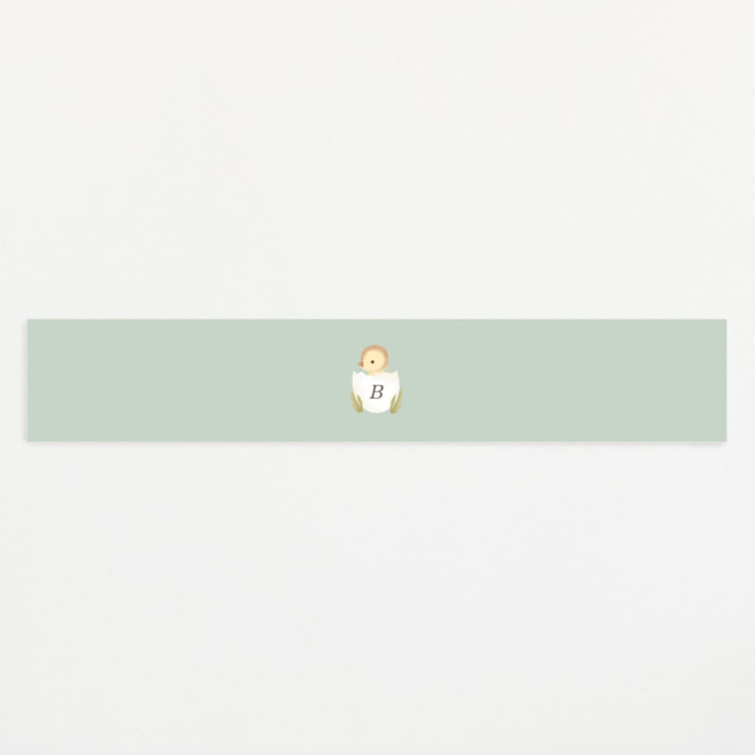 "Lil Duck" - Baby Shower Belly Bands in Sage by Itsy Belle Studio - Front