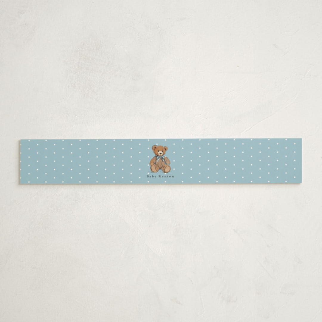 "Antique Teddy Bear" - Baby Shower Belly Bands in Frost by Becky Nimoy - Front