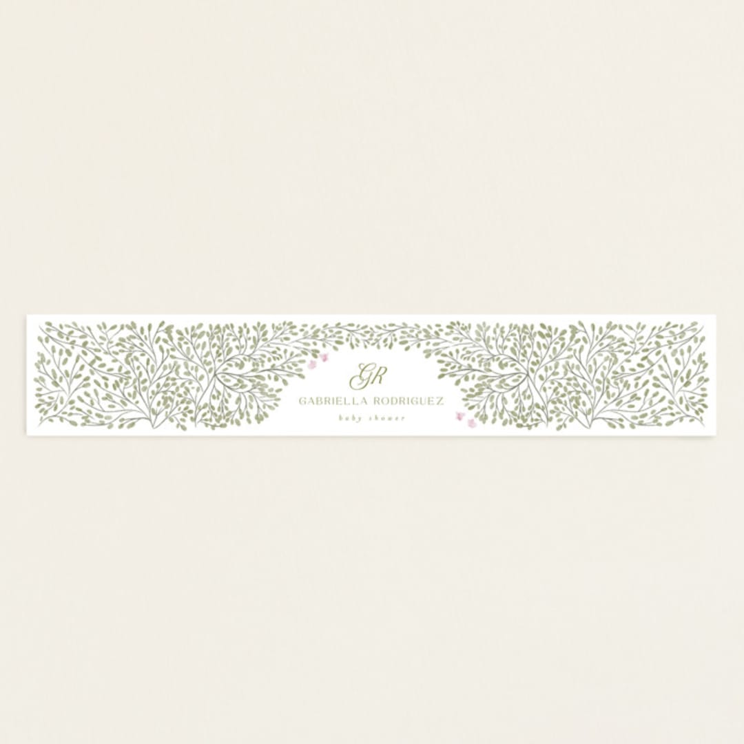 "Swan Princess" - Baby Shower Belly Bands in Ballet Slipper by Jenna Holcomb - Front