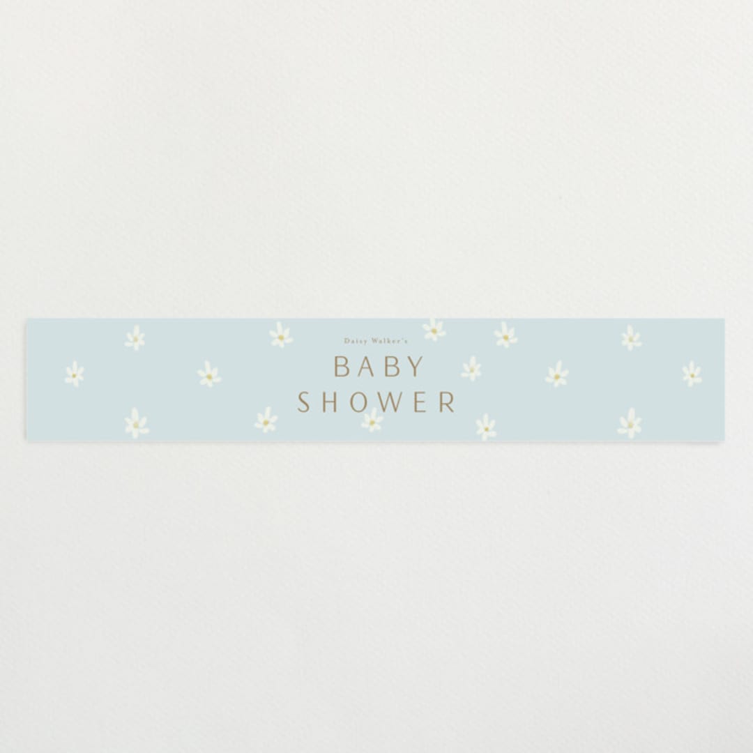 "Daisies" - Baby Shower Belly Bands in Baby Blue by Ani Somi - Front
