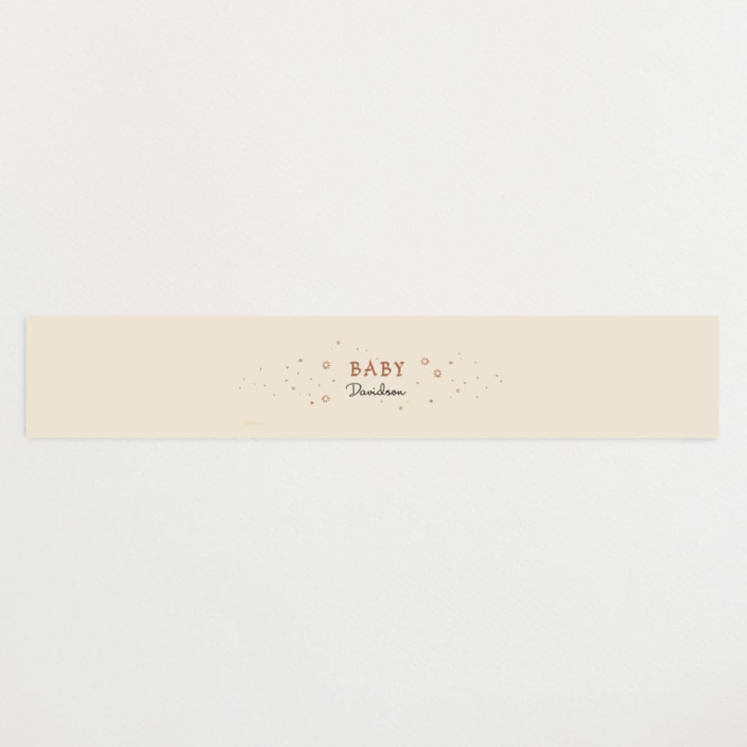 "Medieval Letters Fairytale" - Baby Shower Belly Bands in Peach by Becky Nimoy - Front