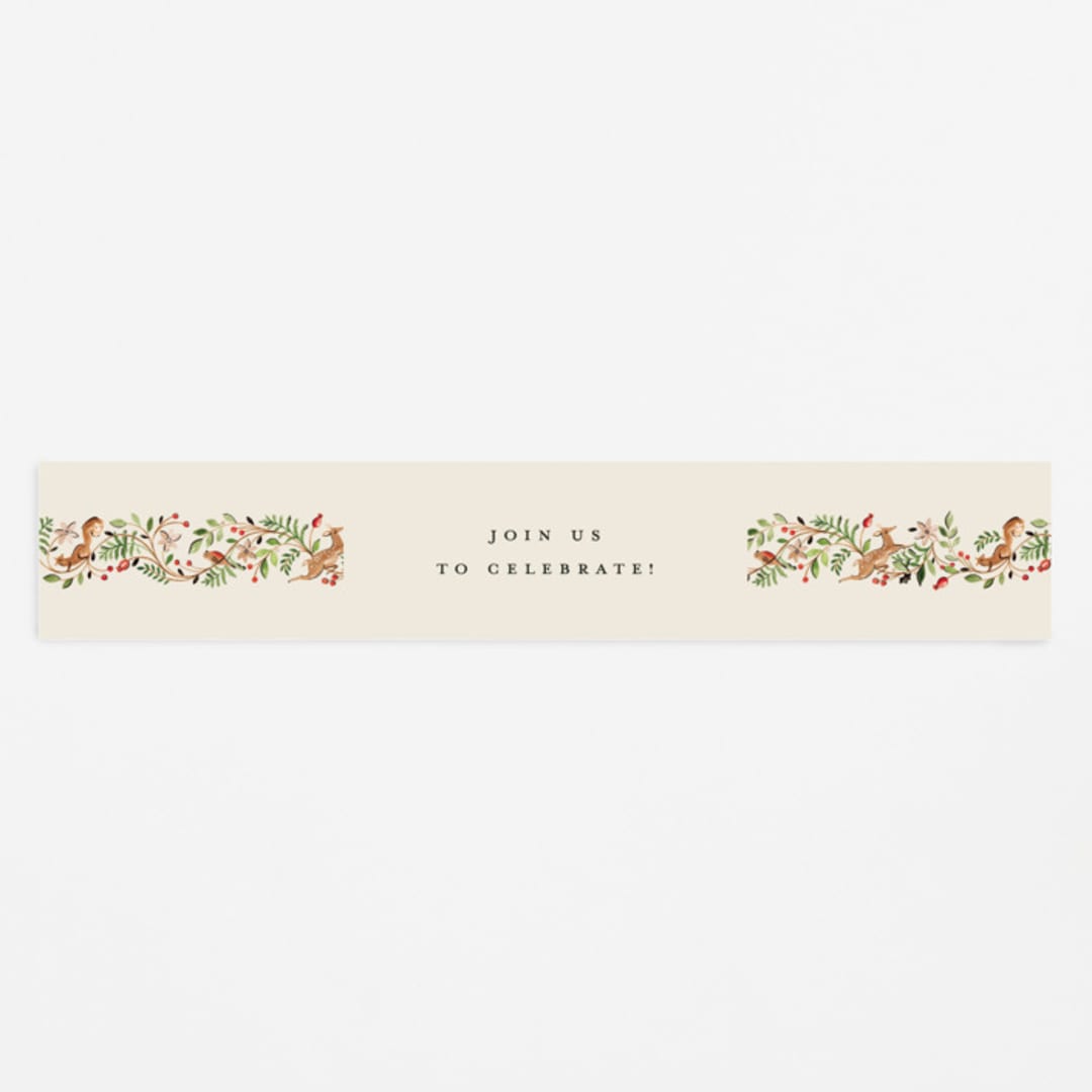 "Highlands" - Baby Shower Belly Bands in Peach Pie by Sarah Knight - Front