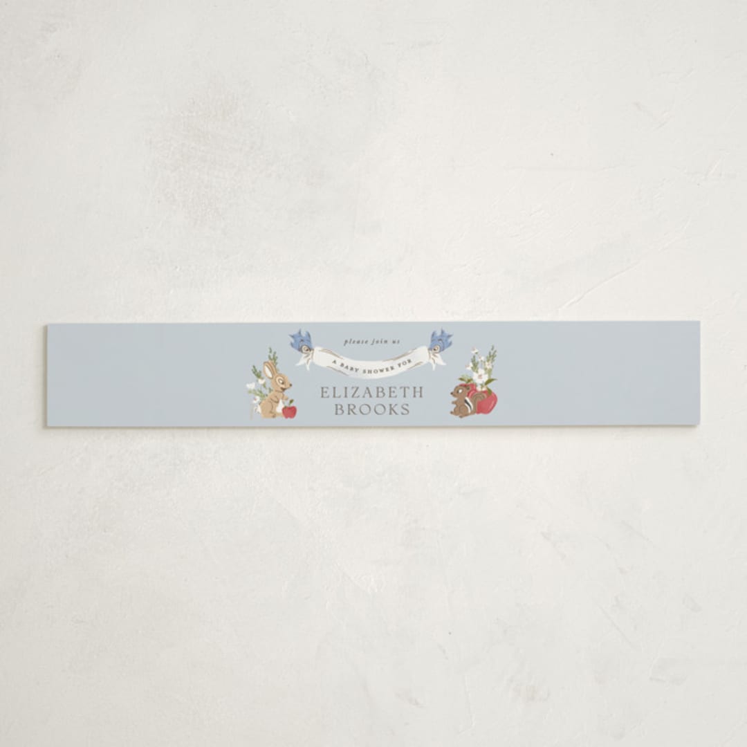 "Disney's Snow White Someday" - Baby Shower Belly Bands in Blue Skies by Erin L. Wilson - Front