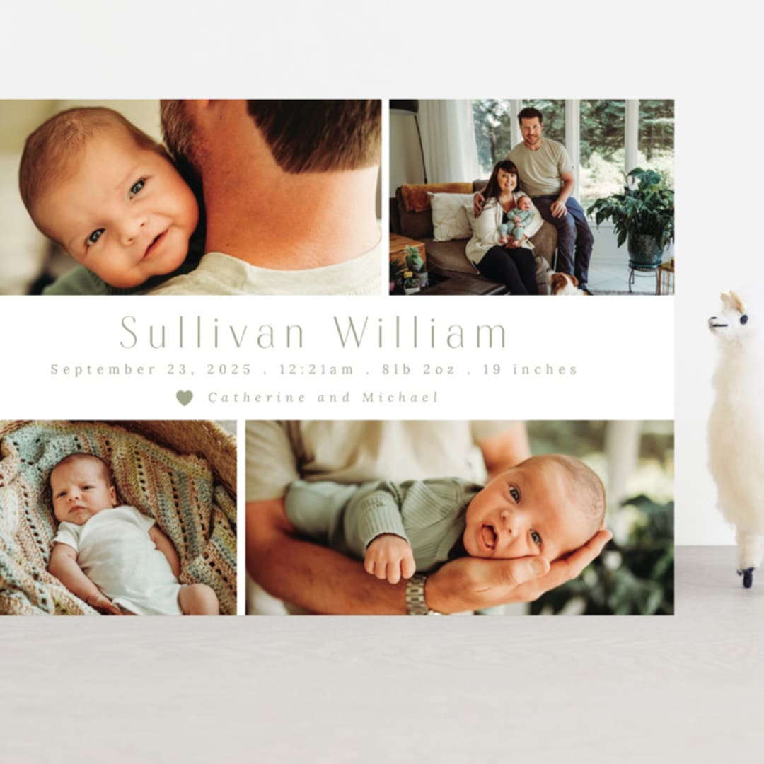 "Welcome Home" - Birth Announcements in Sage by Hudson meet Rose - Front
