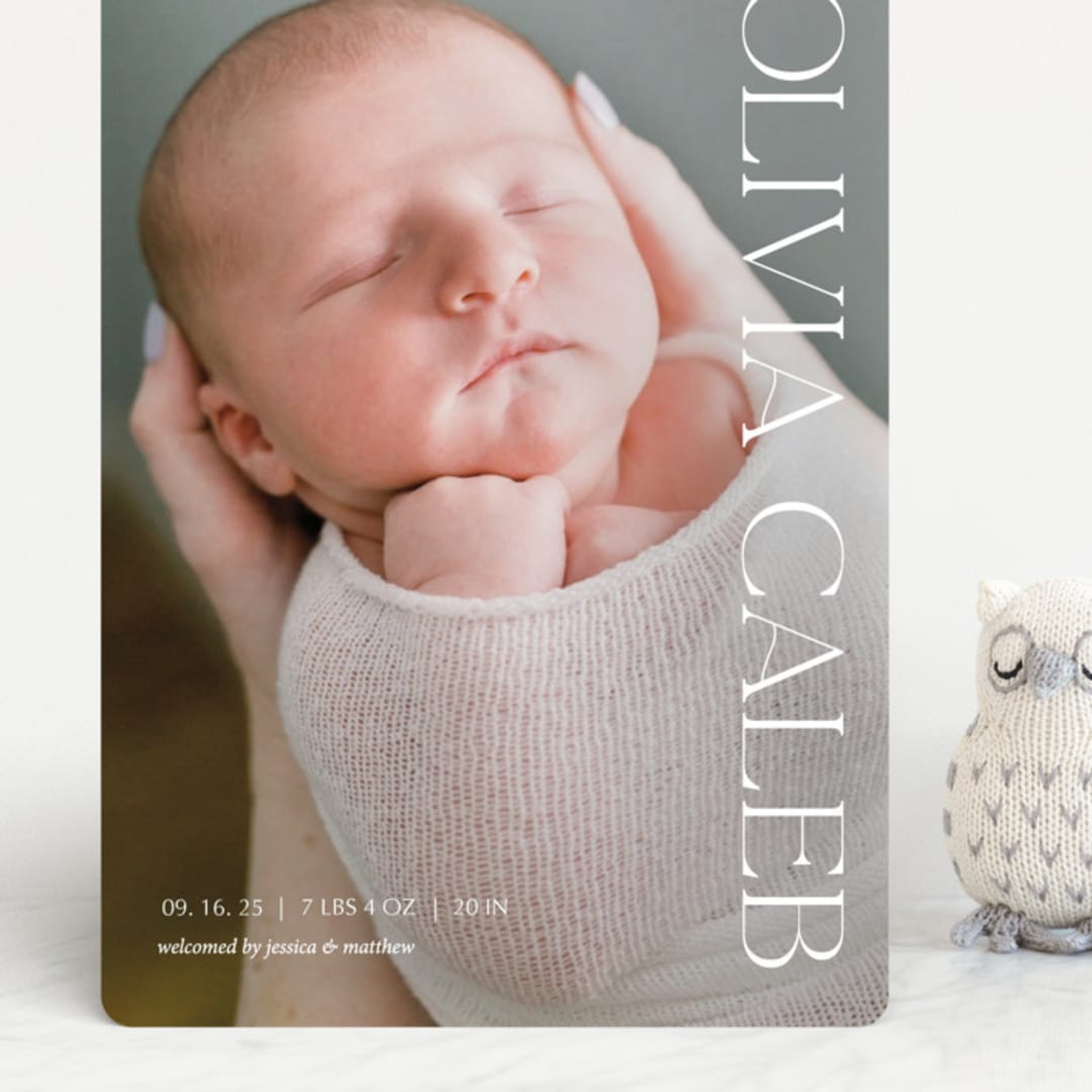 "Newest addition" - Birth Announcements in Snow by Elan Studio - Front