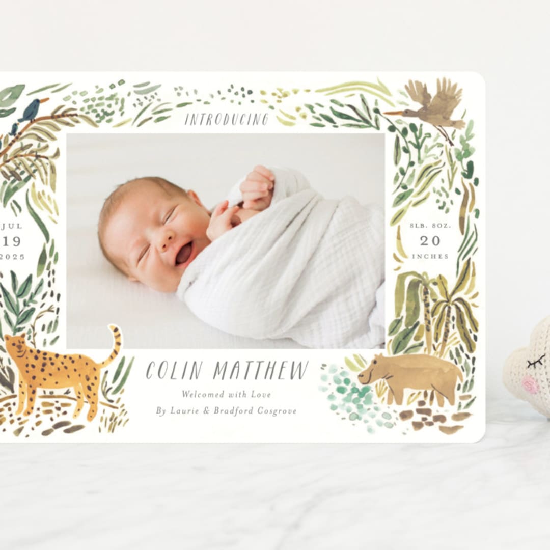 "Jungle Friends" - Birth Announcements in Jungle by Morgan Ramberg - Front