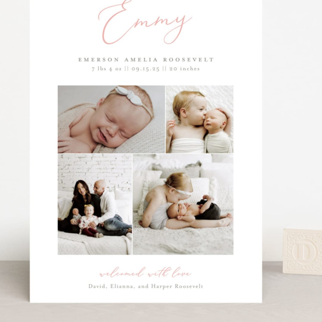 "Namely" - Birth Announcements in Blush by Sarah Brown - Front