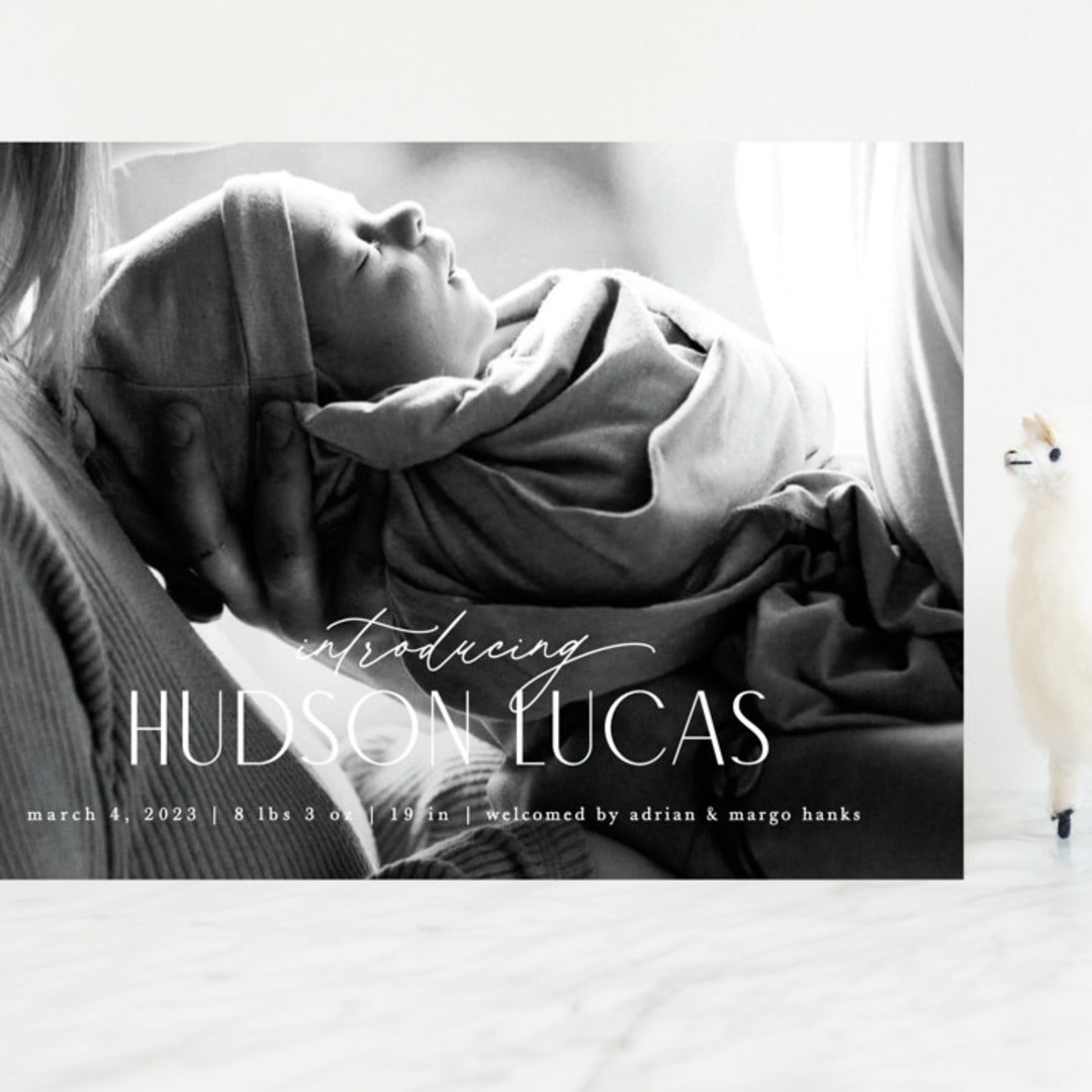 "Little Introduction" - Birth Announcements in Sugar by Pixel and Hank - Front