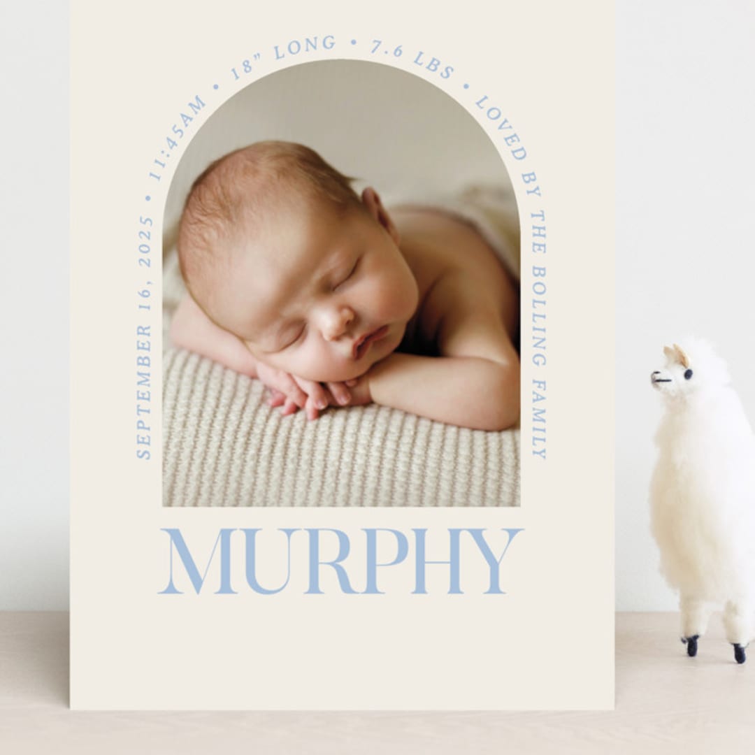 "Type Arch" - Birth Announcements in Bluebird Day by Baumbirdy - Front