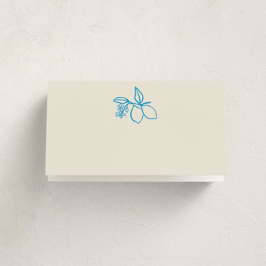 "Mediterraneo" - Fill-in Place Cards in Ocean by Pati Cascino - Blank Front