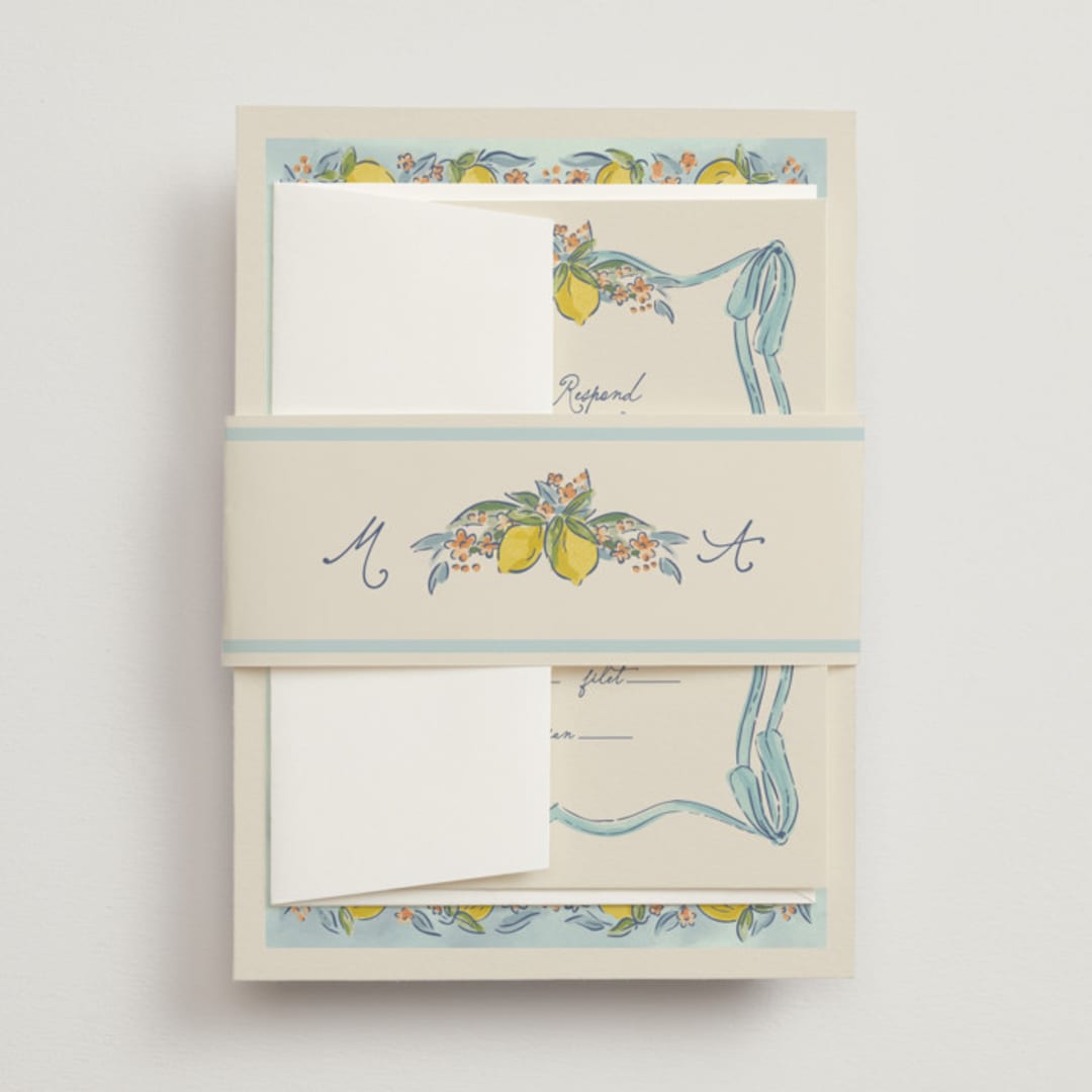 "Amalfi Coast Wedding" - Belly Bands in Aqua by Chris Griffith - Front