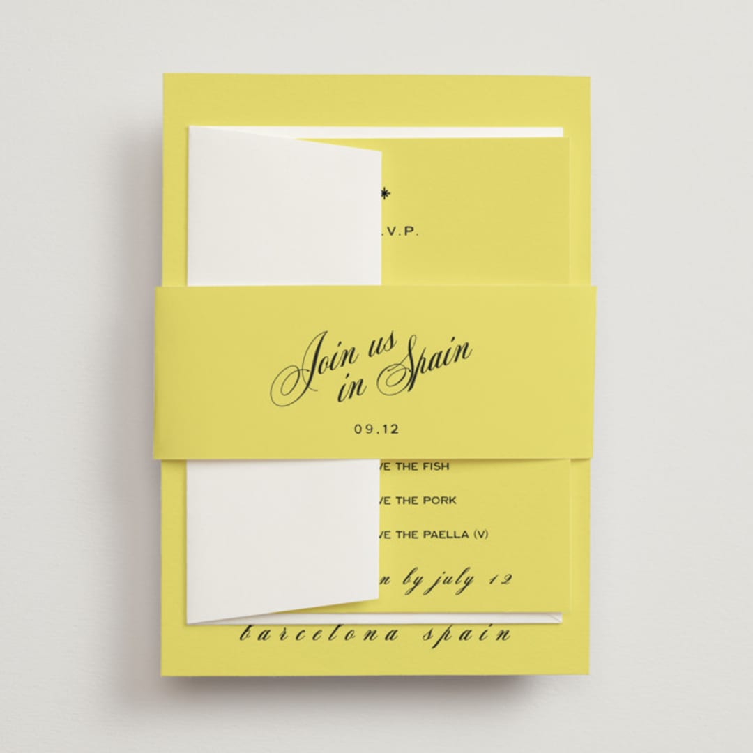 "In Lights" - Belly Bands in Lemon by Ani Somi - Front