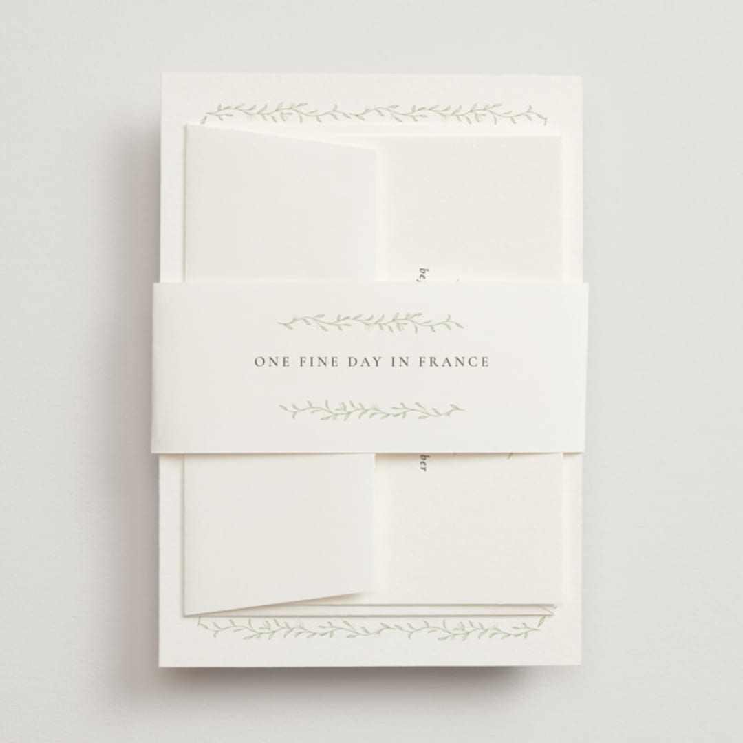 "cramique" - Belly Bands in Ivy by chocomocacino - Front