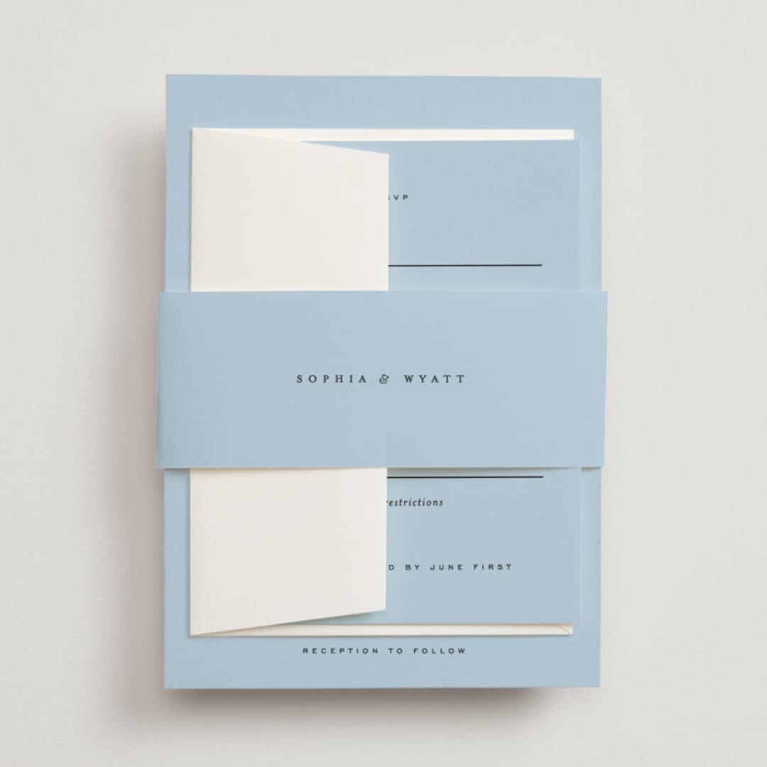 "Tarte Tatin" - Belly Bands in Sky by Blustery August - Front