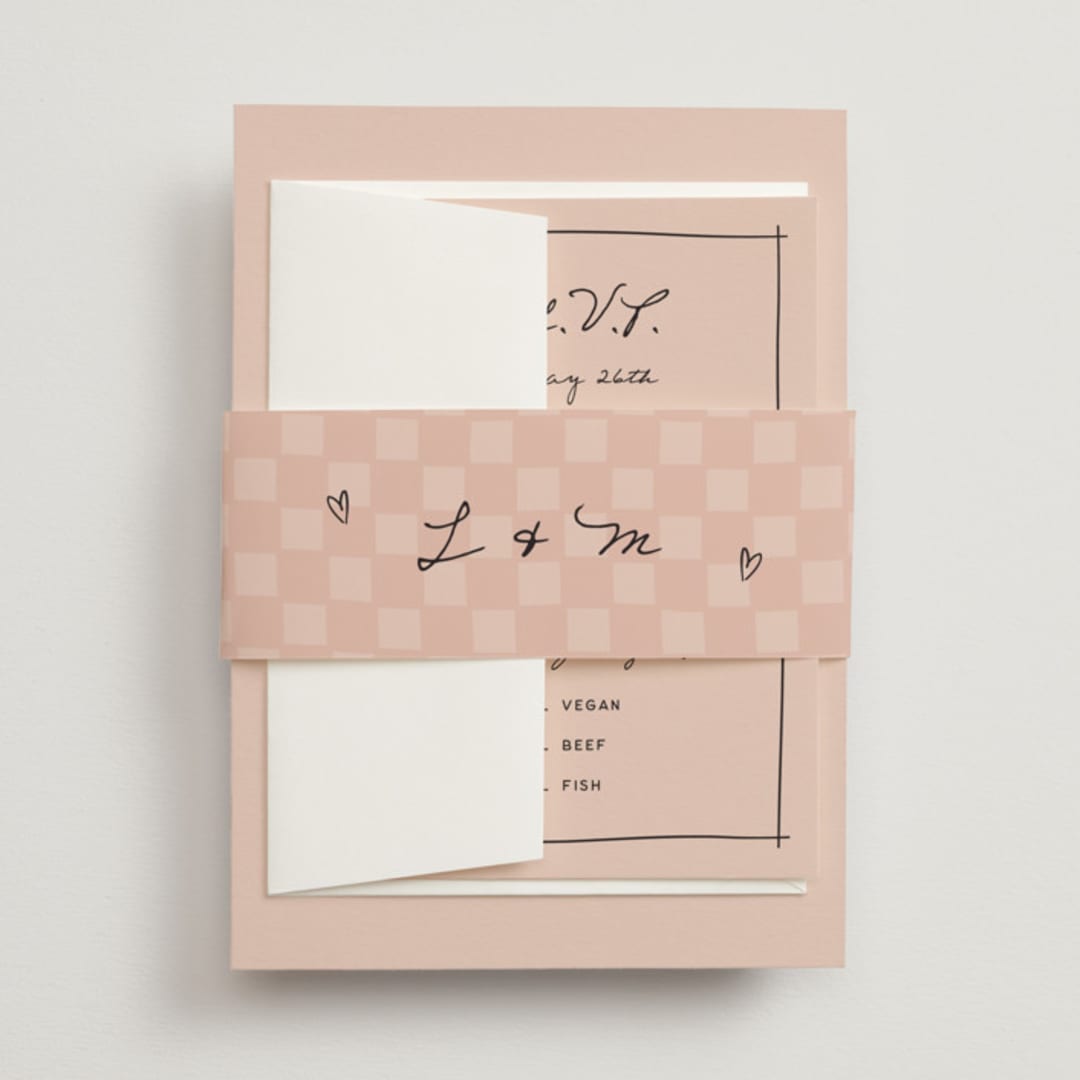 "Ballpoint Suite" - Belly Bands in Blush by Ani Somi - Front