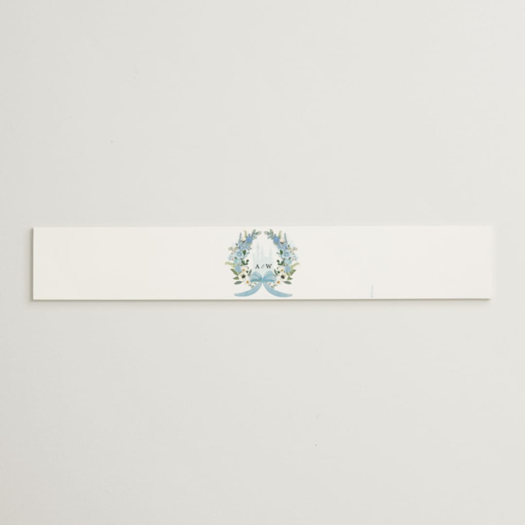 "Disney's Cinderella Fairytale" - Belly Bands in Bluebell by Susan Moyal - Assembled with Invitation