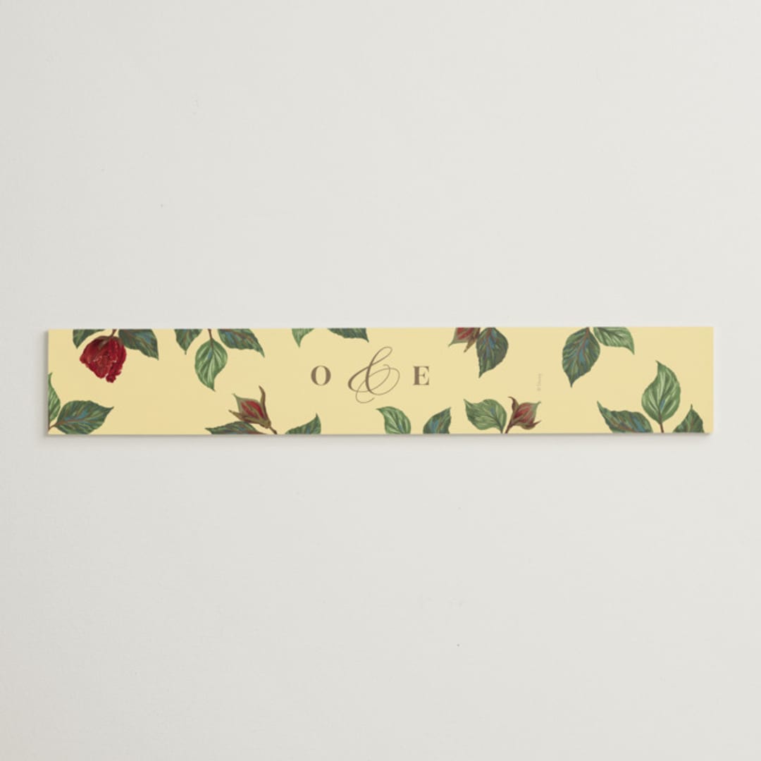 "Enchanted Rose from Disney's Beauty & The Beast" - Belly Bands in Mimosa by Leah Bisch - Assembled with Invitation