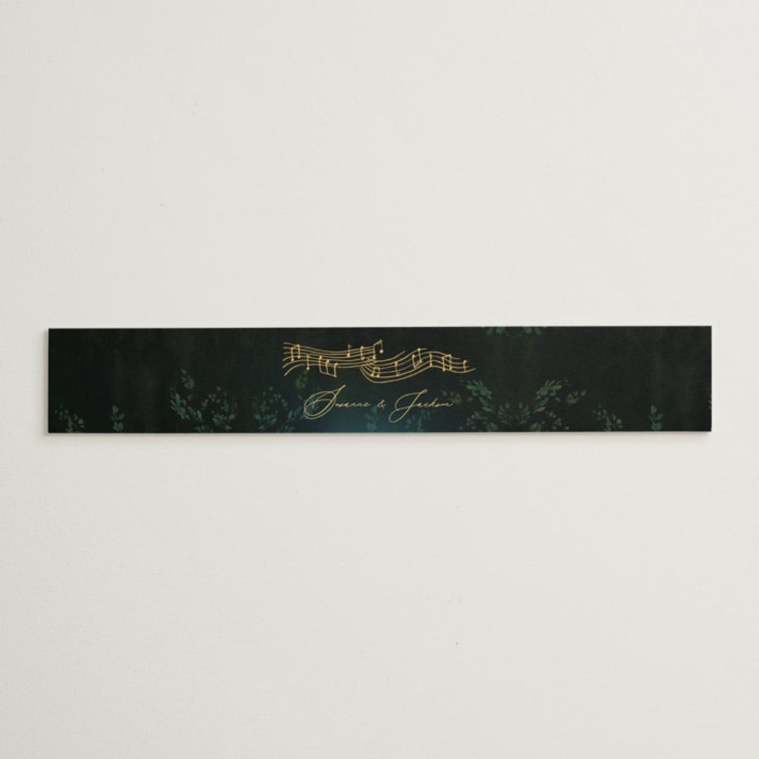 "New Orleans from Disney's Princess and The Frog" - Belly Bands in Mystic by Phrosné Barwood - Assembled with Invitation