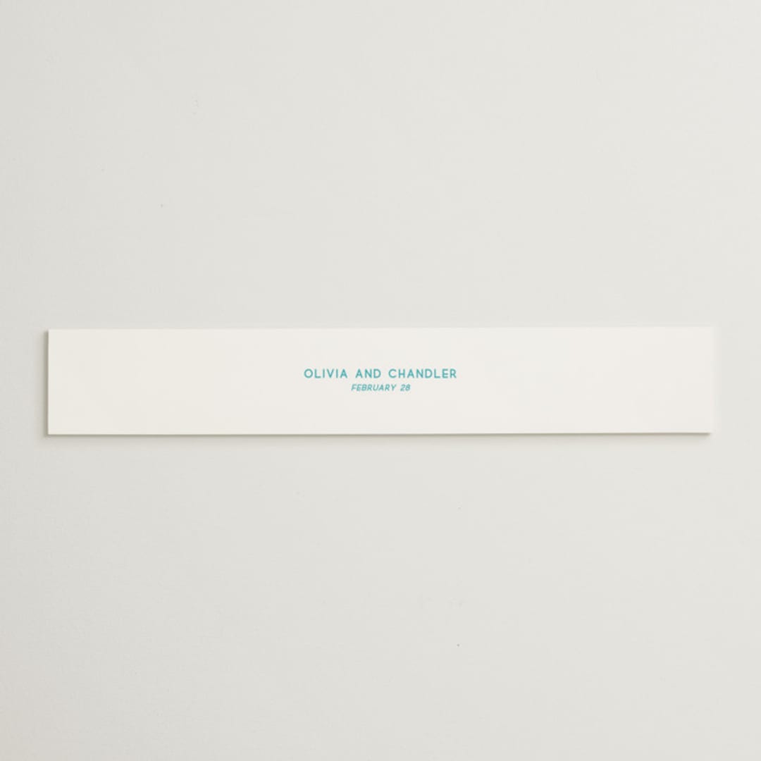 "rainbow 2.0" - Belly Bands in Light Hearted by Deborah Chou - Assembled with Invitation