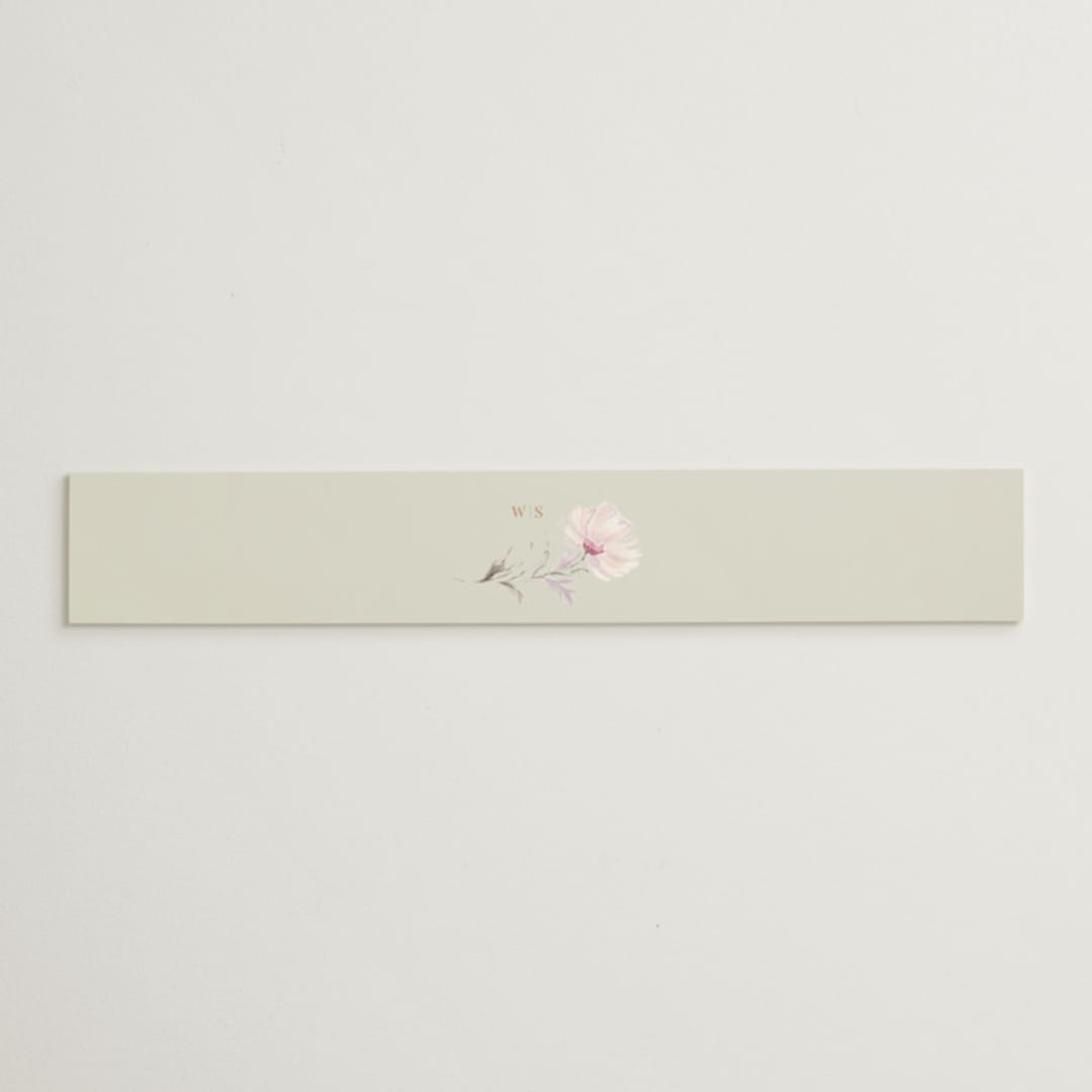 "kosmos" - Belly Bands in Cotton Candy by Phrosné Barwood - Assembled with Invitation
