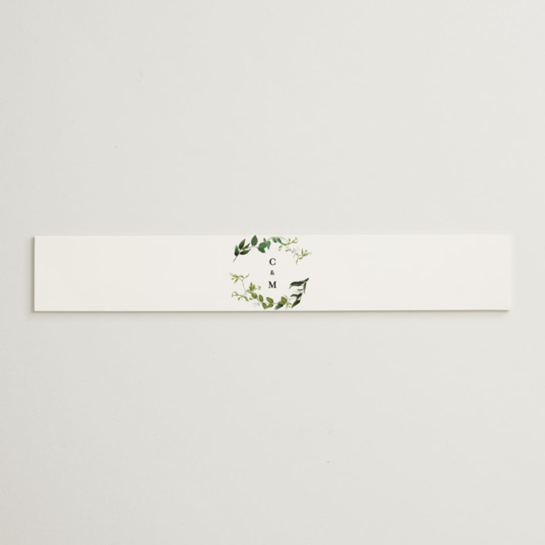 "Greenery" - Belly Bands in Fern by Susan Moyal - Assembled with Invitation