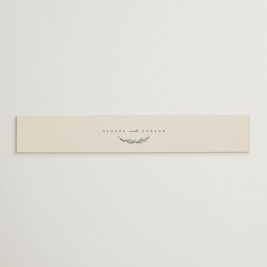 "Branched" - Belly Bands in Almond by Brianne Larsen - Assembled with Invitation