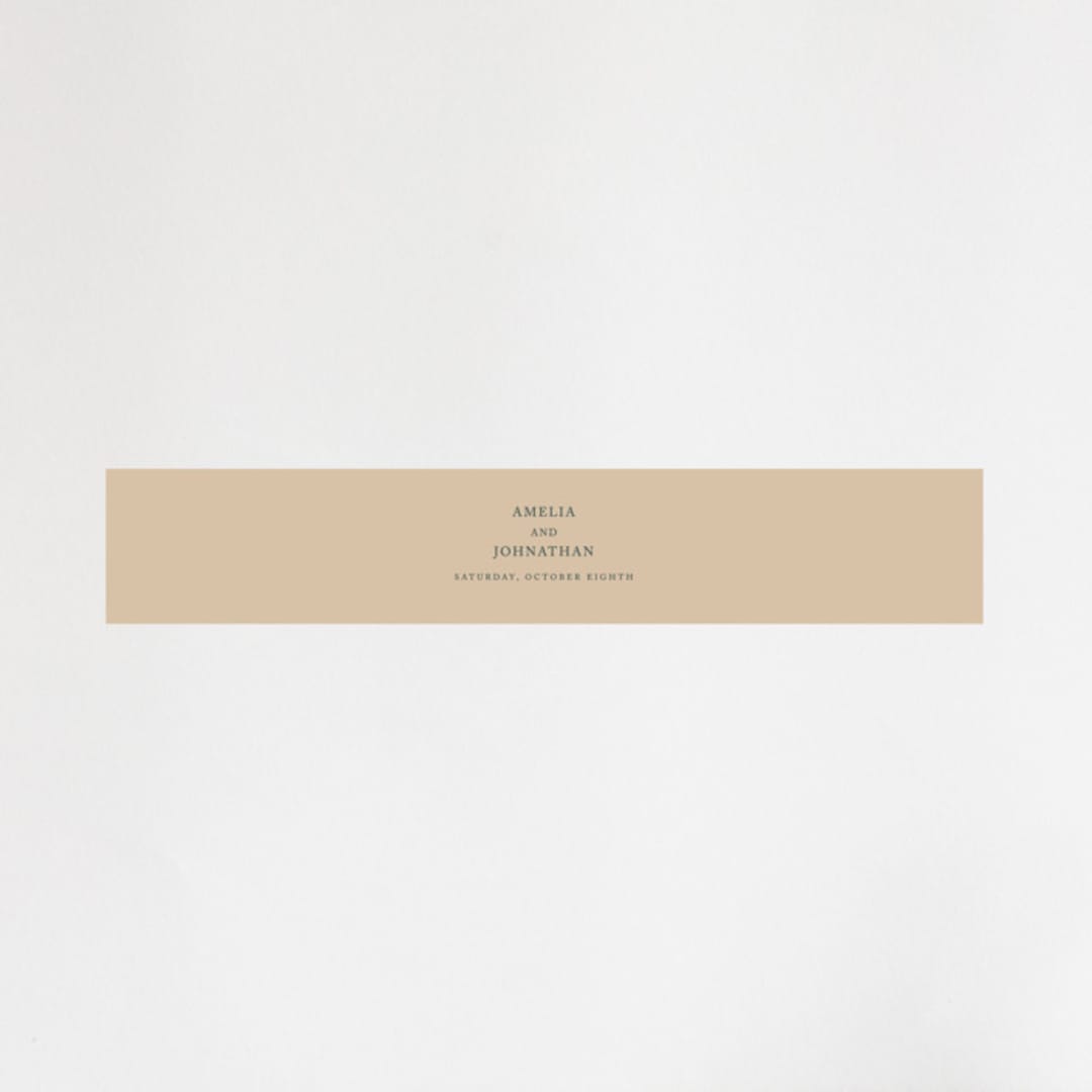 "Simply Modern" - Belly Bands in Jade by Something Noir - Assembled with Invitation