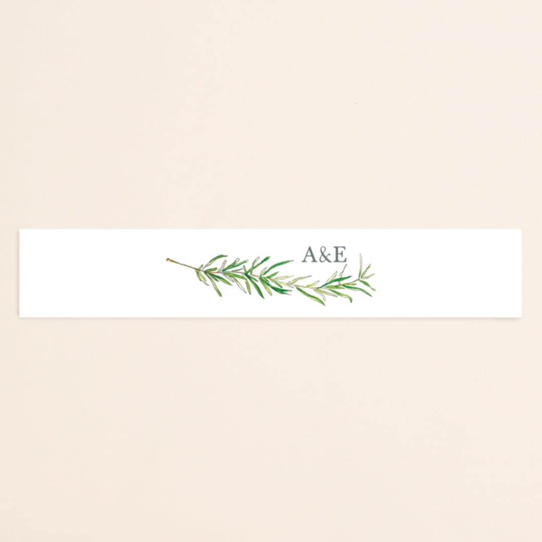 "Simple Sprigs" - Belly Bands in Fern by Erin Deegan - Assembled with Invitation