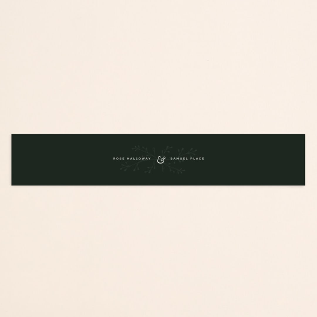 "A Dash of Delight" - Belly Bands in Pine Needle by Bramble Studio - Assembled with Invitation