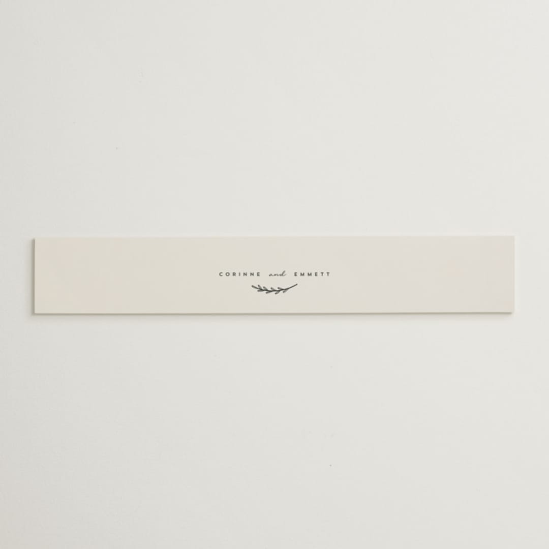 "Connect" - Belly Bands in Almond by Brianne Larsen - Assembled with Invitation