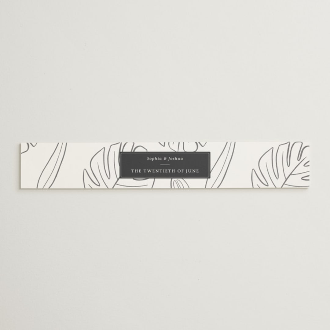 "Crescendo" - Belly Bands in Snow by Griffinbell Paper Co. - Assembled with Invitation