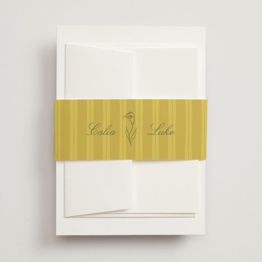 "Calia " - Belly Bands in Caribbean Citrus by Ani Somi - Assembled with Invitation