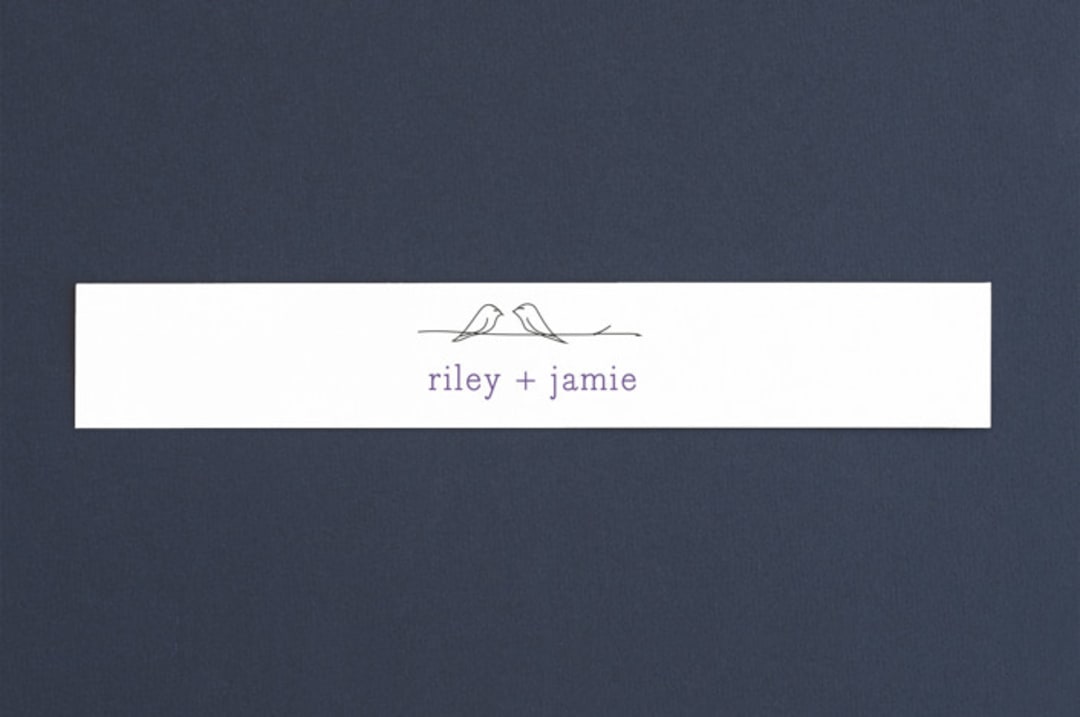 "Birds of a Feather" - Belly Bands in Plum by R studio - Assembled with Invitation