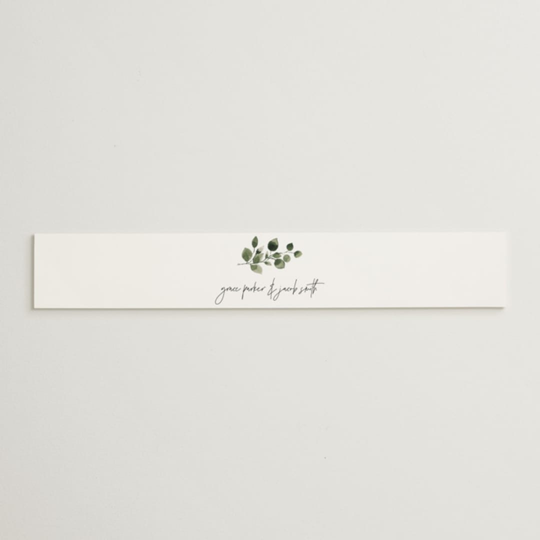 "green rush" - Belly Bands in Snow by Anupama - Assembled with Invitation
