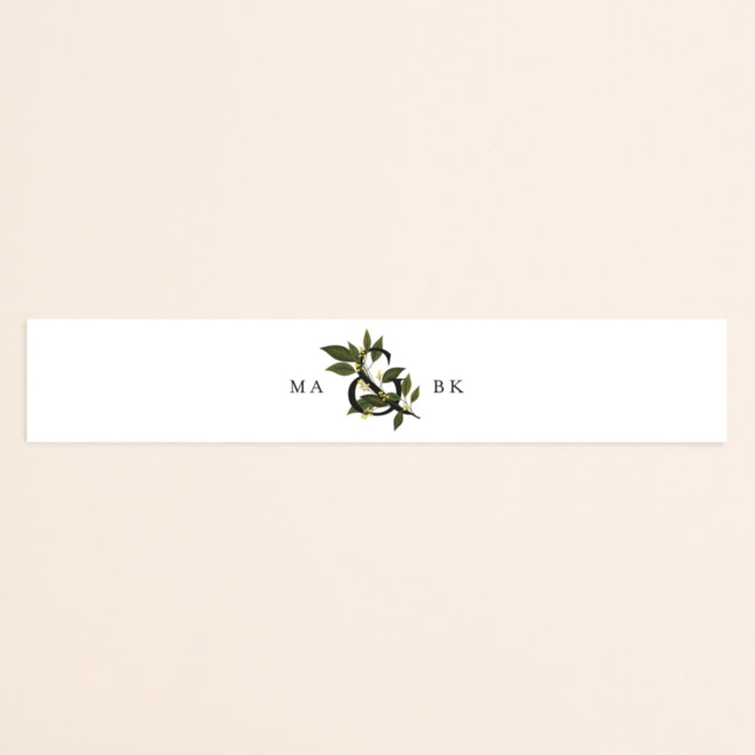 "Conservatory" - Belly Bands in Honeysuckle by Jennifer Postorino - Assembled with Invitation