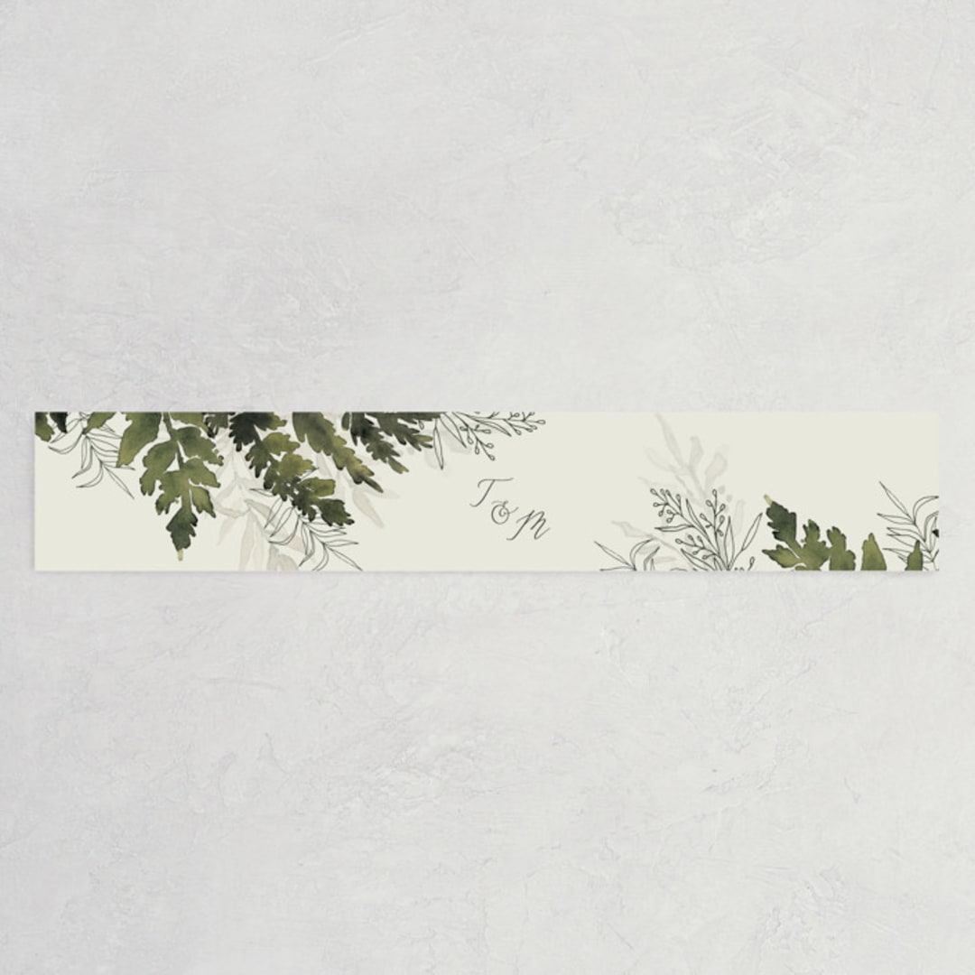 "Love springs eternal" - Belly Bands in Fern by Chris Griffith - Assembled with Invitation