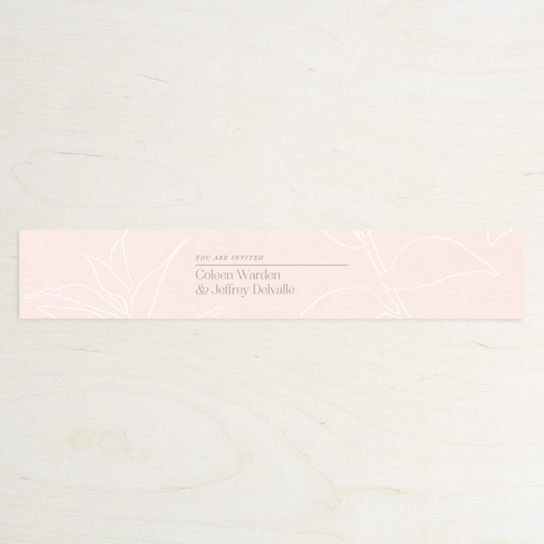 "legacy" - Belly Bands in Pebble by Leia Matt - Assembled with Invitation