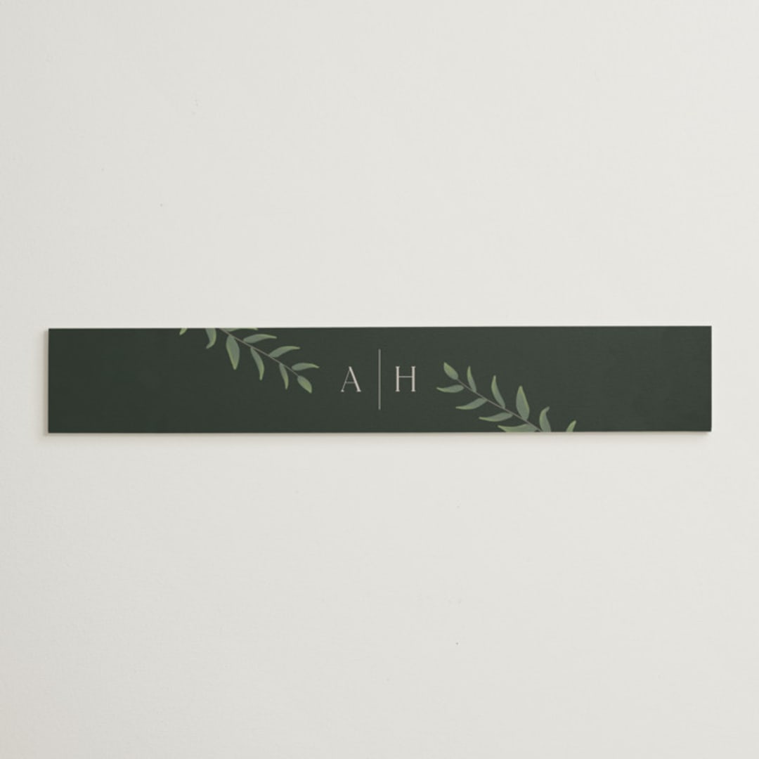 "Collection" - Belly Bands in Blanco by Kaydi Bishop - Assembled with Invitation