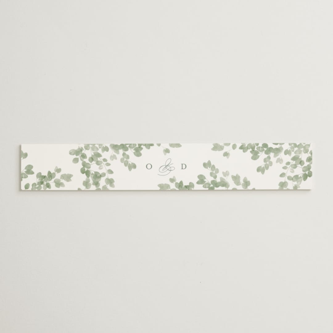 "Vining" - Belly Bands in Eucalyptus by Kristie Kern - Assembled with Invitation