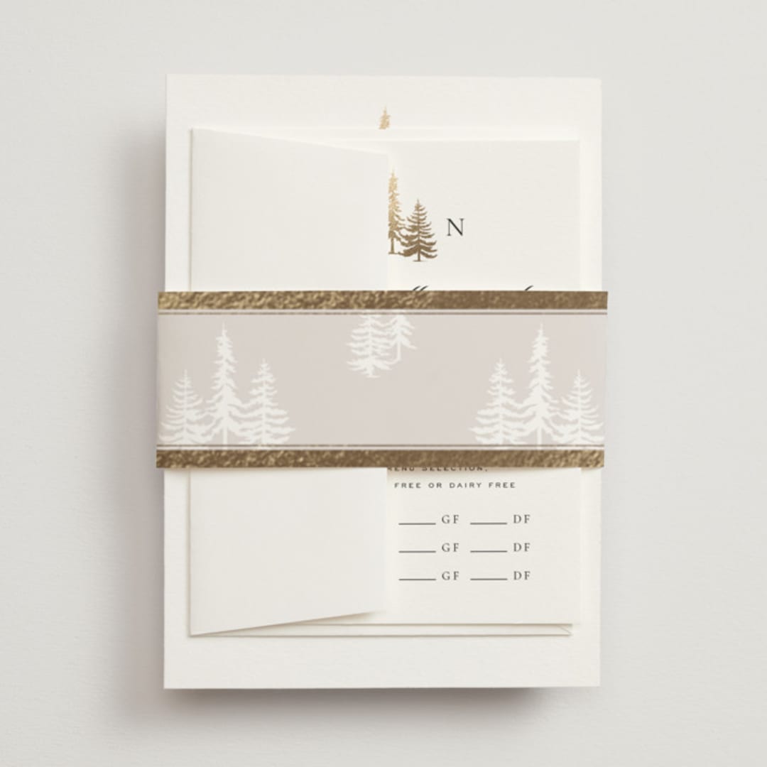 "Gilded Forest" - Belly Bands in Snow by Stacy Maalouf - Front