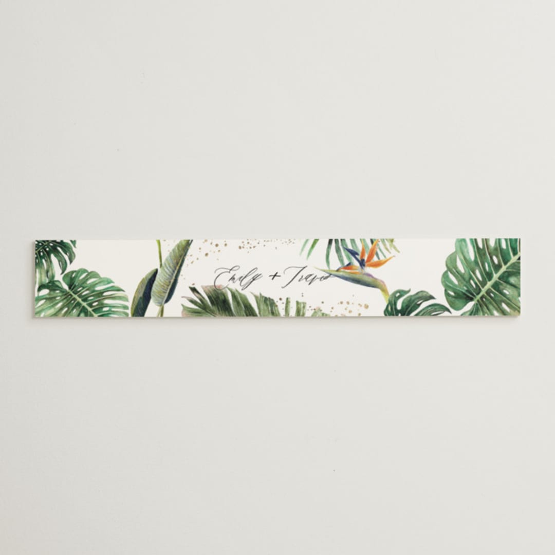 "Our Paradise" - Belly Bands in Tropical by Elly - Assembled with Invitation