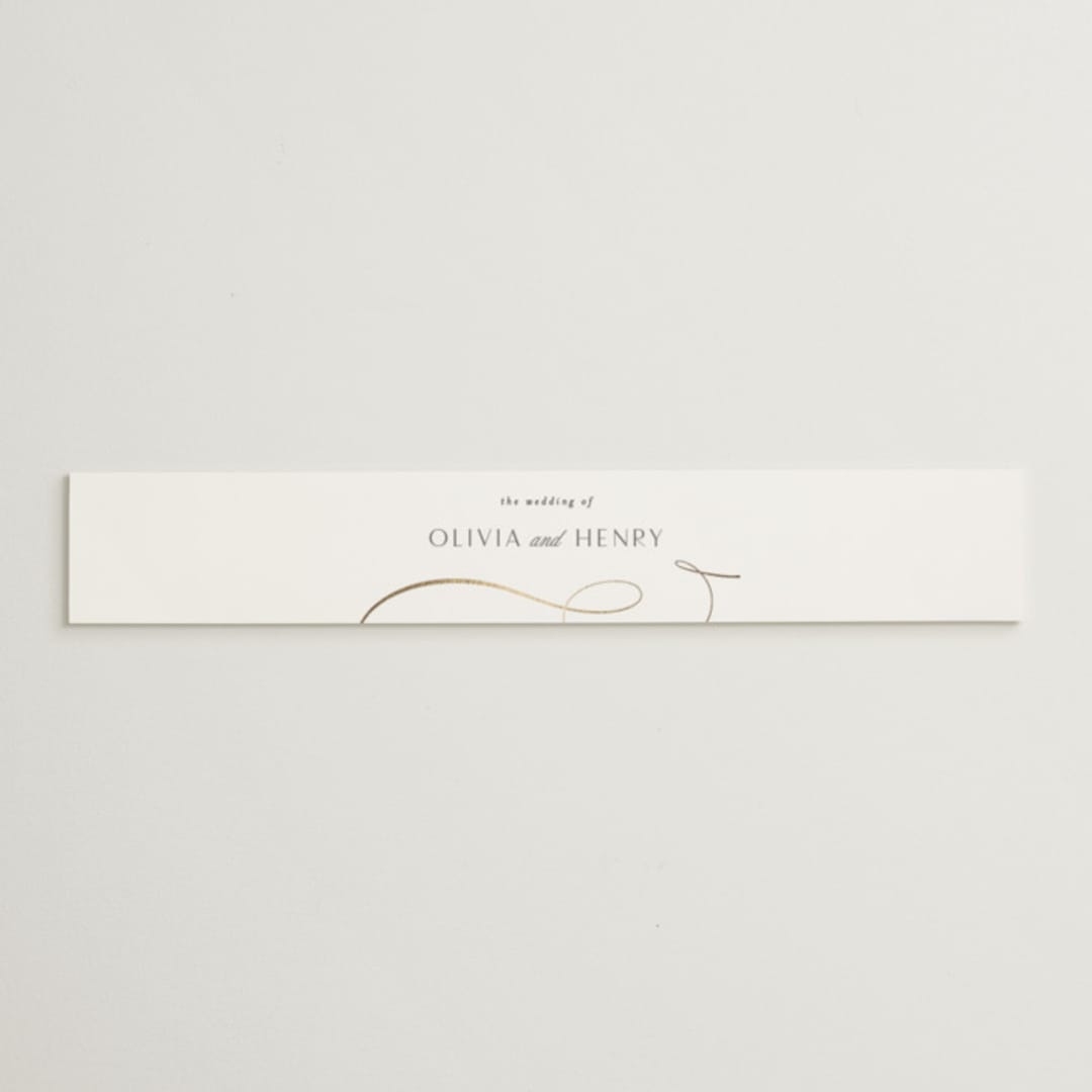 "Forever And" - Belly Bands in Snow by Jen Banks - Assembled with Invitation