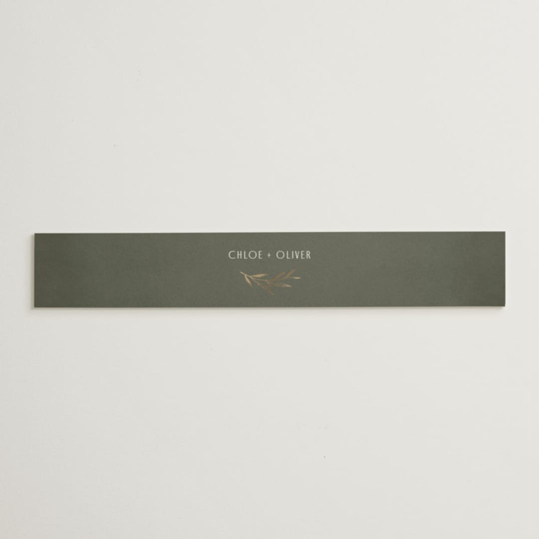 "Botanical Arches" - Belly Bands in Moss by Kelly Schmidt - Assembled with Invitation