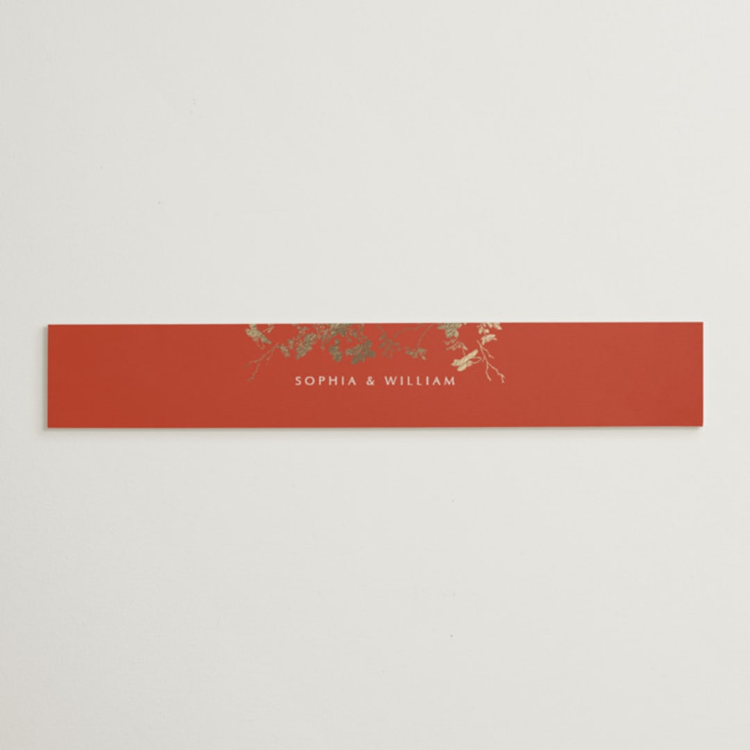 "Abstract Flora" - Belly Bands in Lava by Stellax Creative - Assembled with Invitation