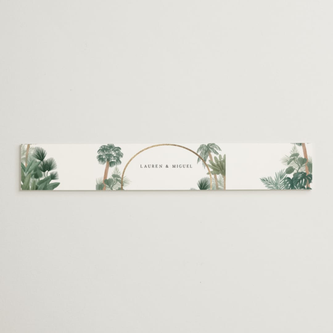 "The Greenhouse" - Belly Bands in Seagreen by Elly - Assembled with Invitation