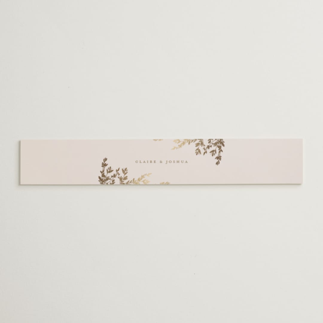 "Classique" - Belly Bands in Spun Sugar by Jessica Williams - Assembled with Invitation