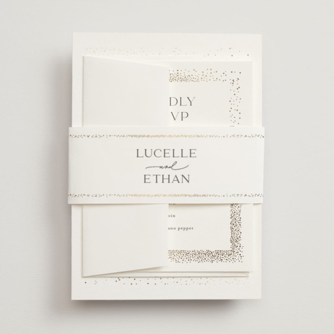 "Flicker" - Belly Bands in Sparkle by Pixel and Hank - Front