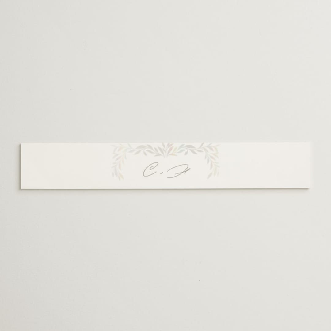"Clarity" - Gloss-Press® Belly Bands in Cloud by Ana Sharpe - Assembled with Invitation